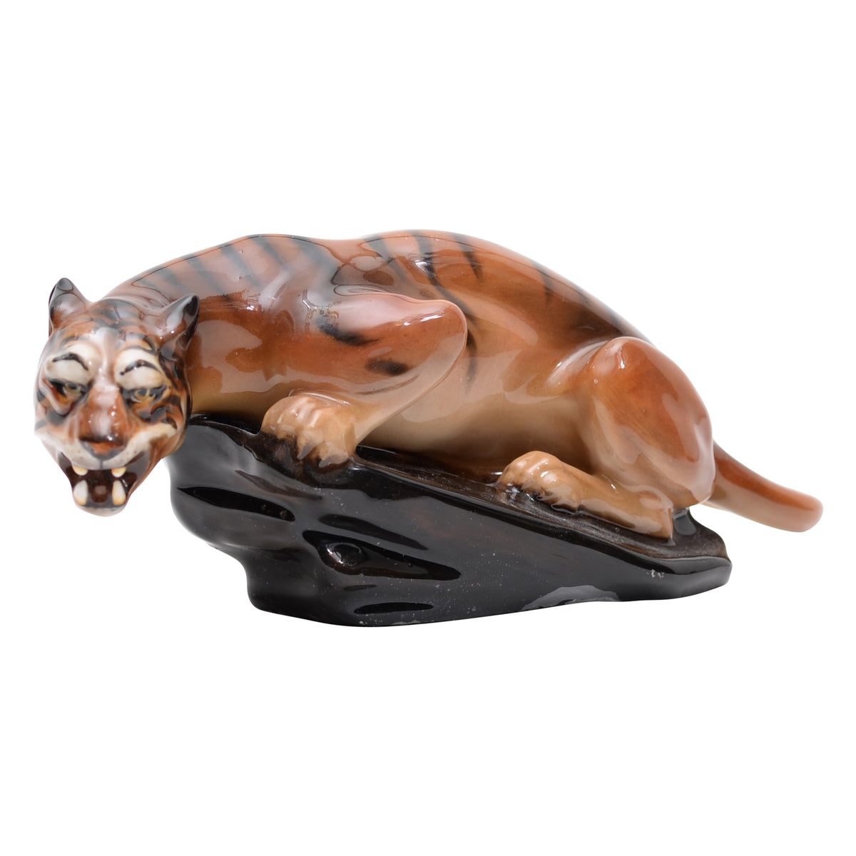 Tiger on a Rock