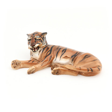 Tiger Lying
