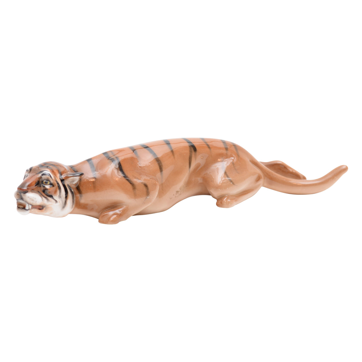 Tiger stalking
