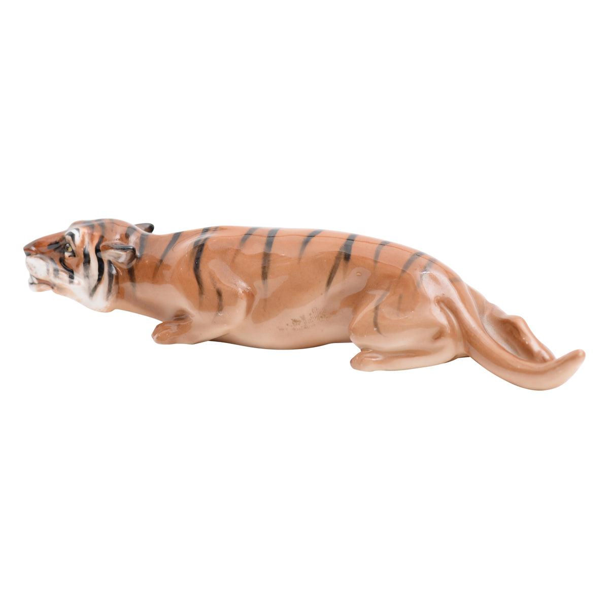 Tiger stalking