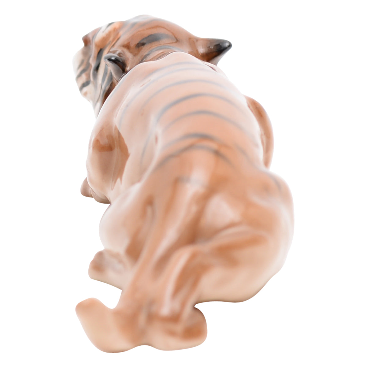 Tiger stalking
