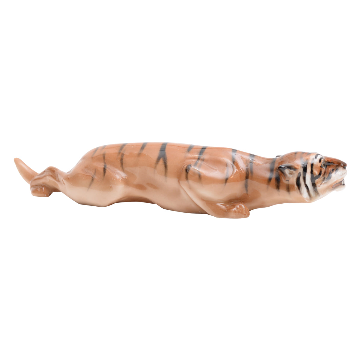 Tiger stalking