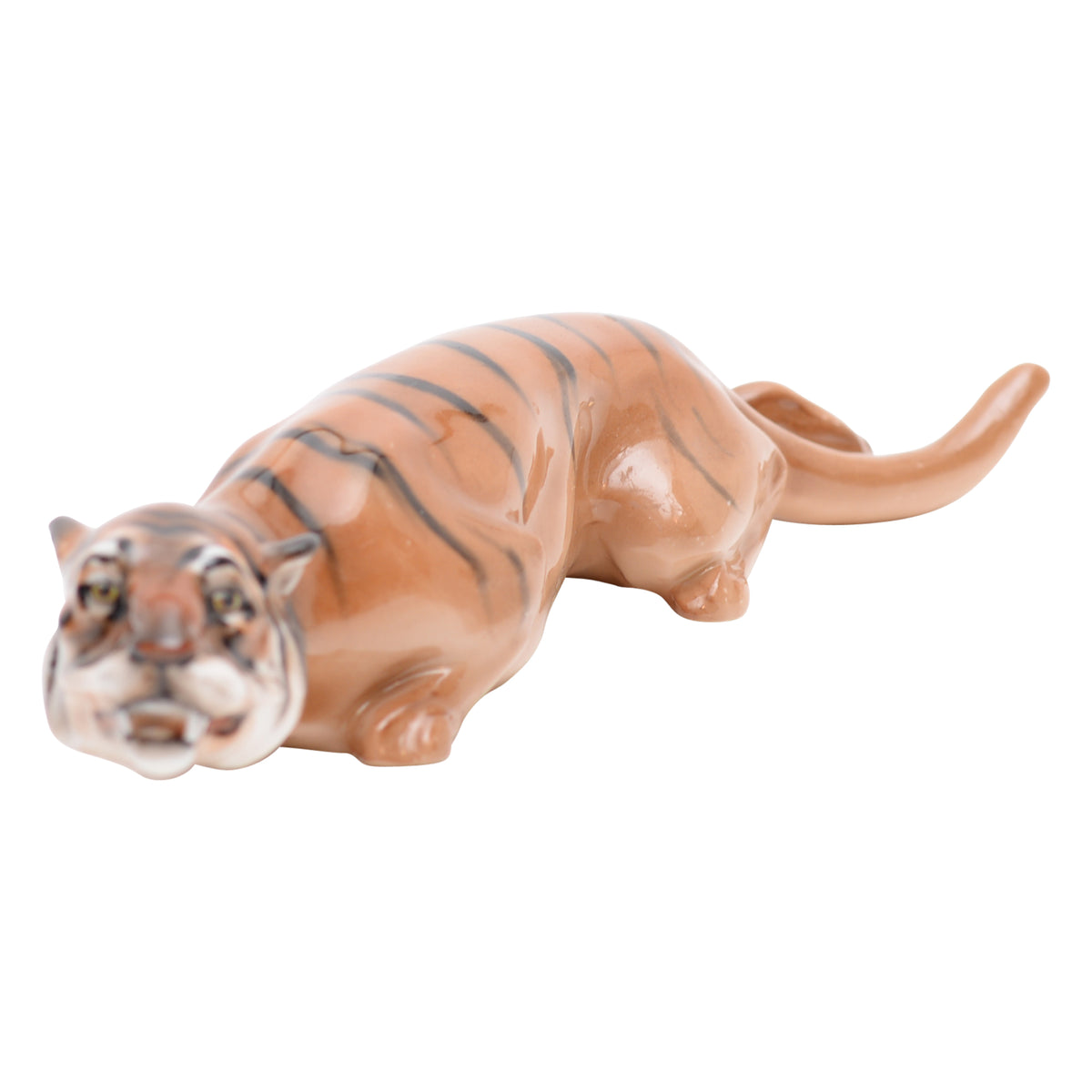 Tiger stalking