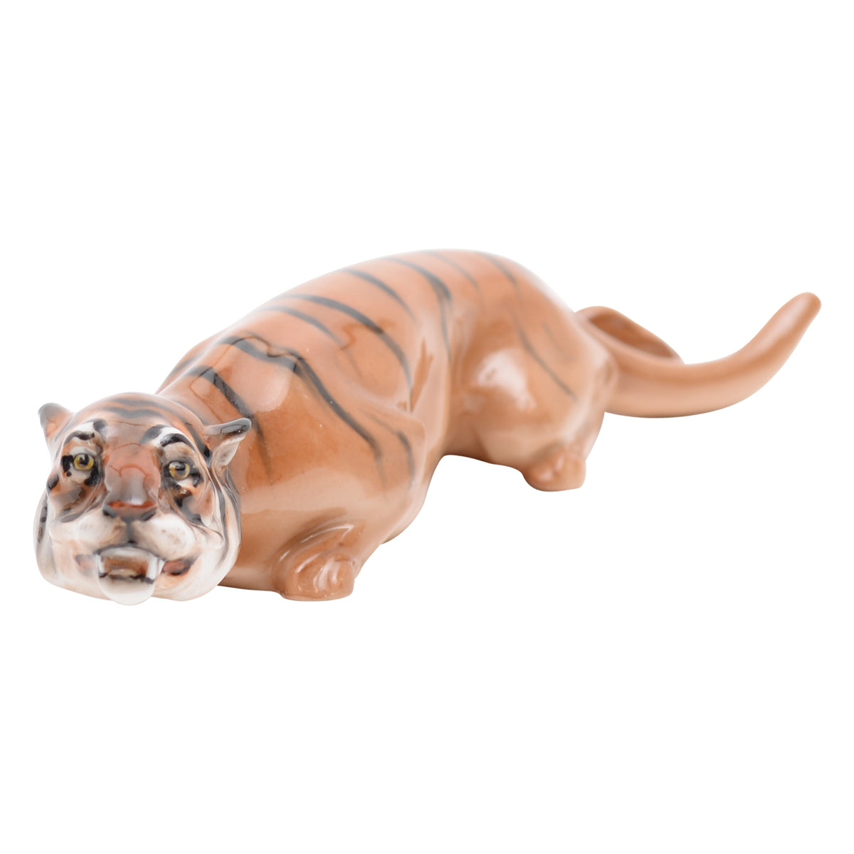 Tiger stalking