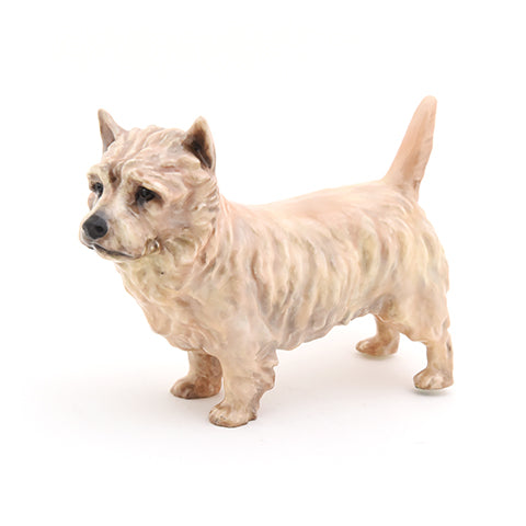 West Highland Terrier Large