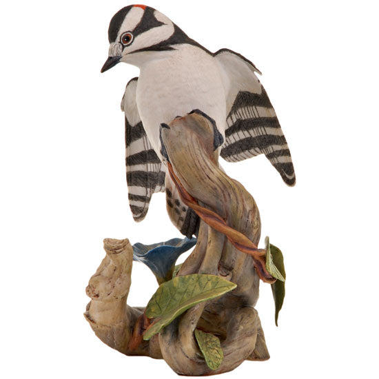 Downy Woodpecker
