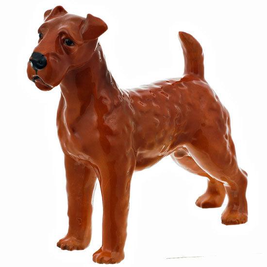 Airdale Terrier 