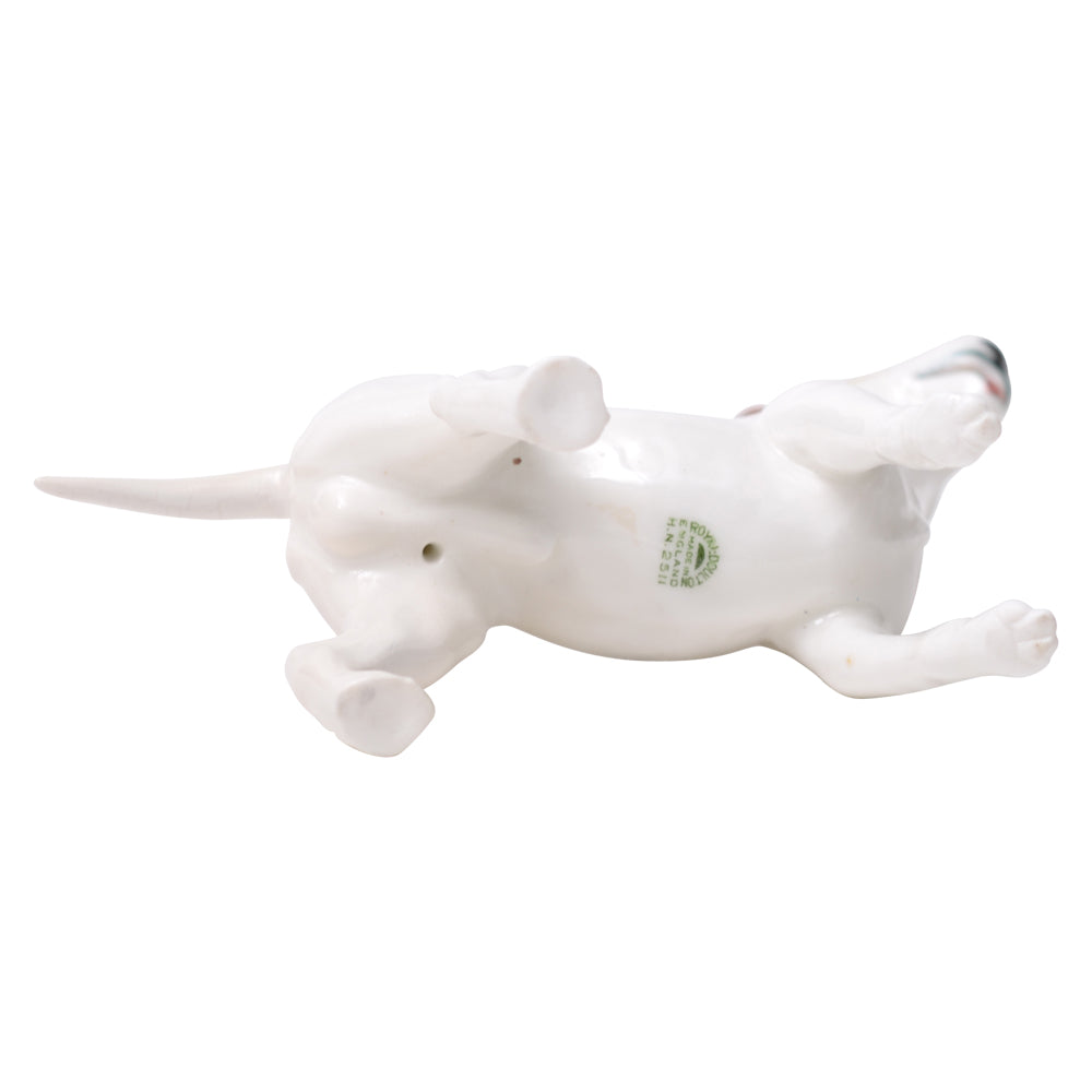 Bull Terrier HN2511