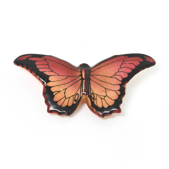 Maroone Butterfly Color Variation