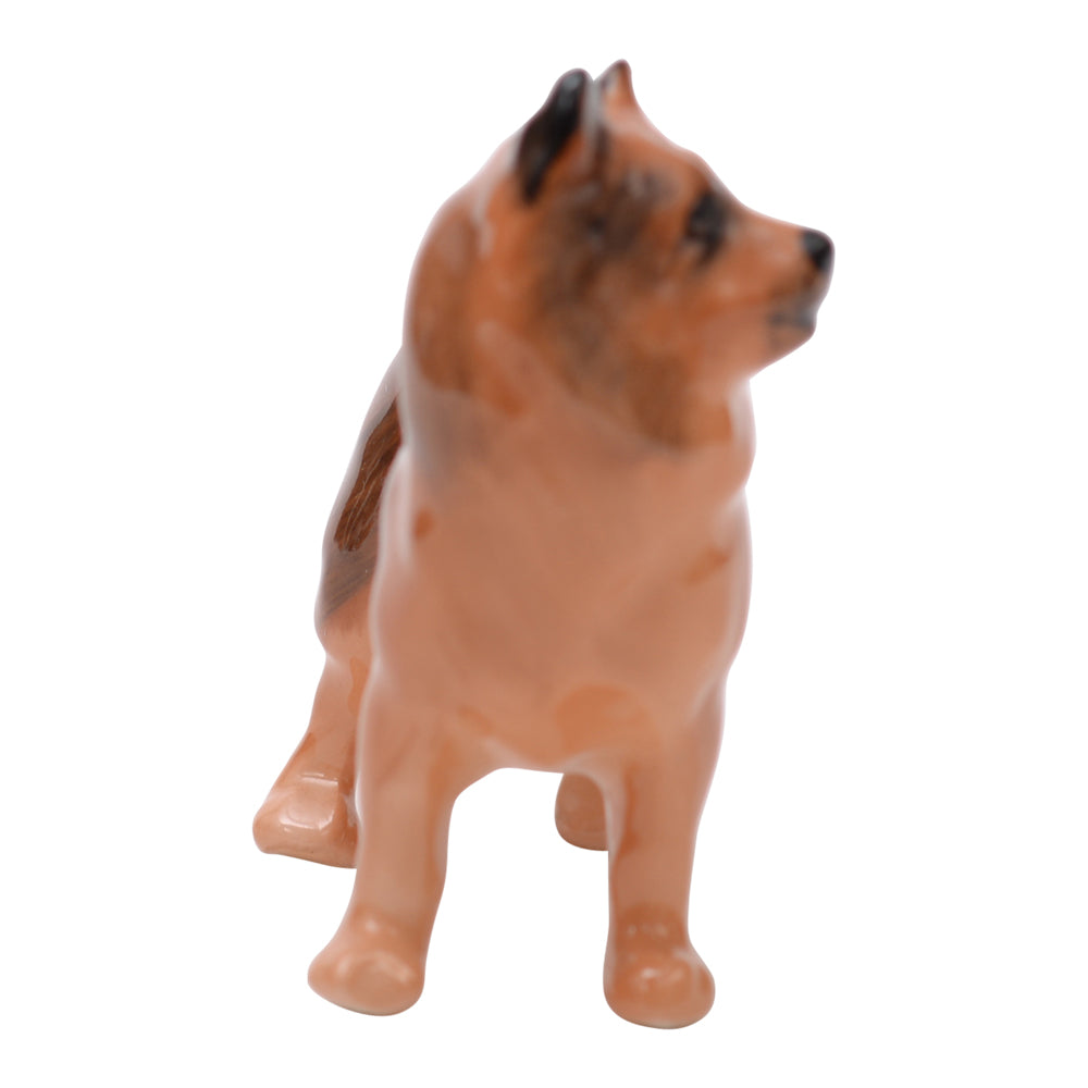 Chow (Shibu Ino)