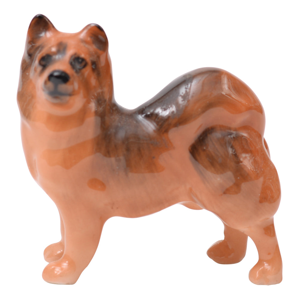 Chow (Shibu Ino)