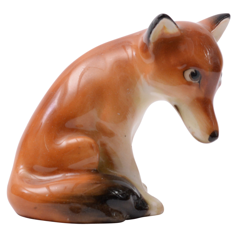 Baby Fox