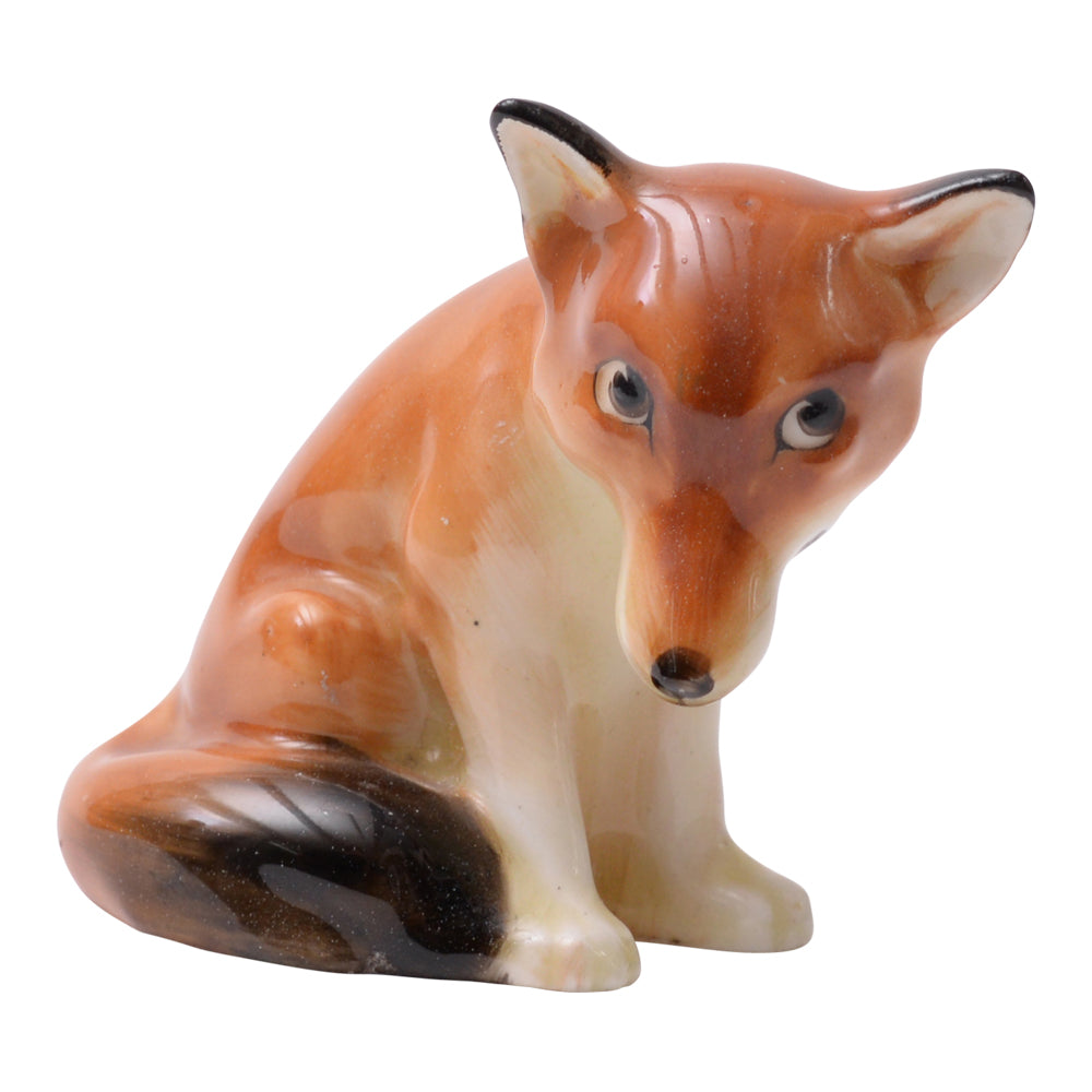 Baby Fox