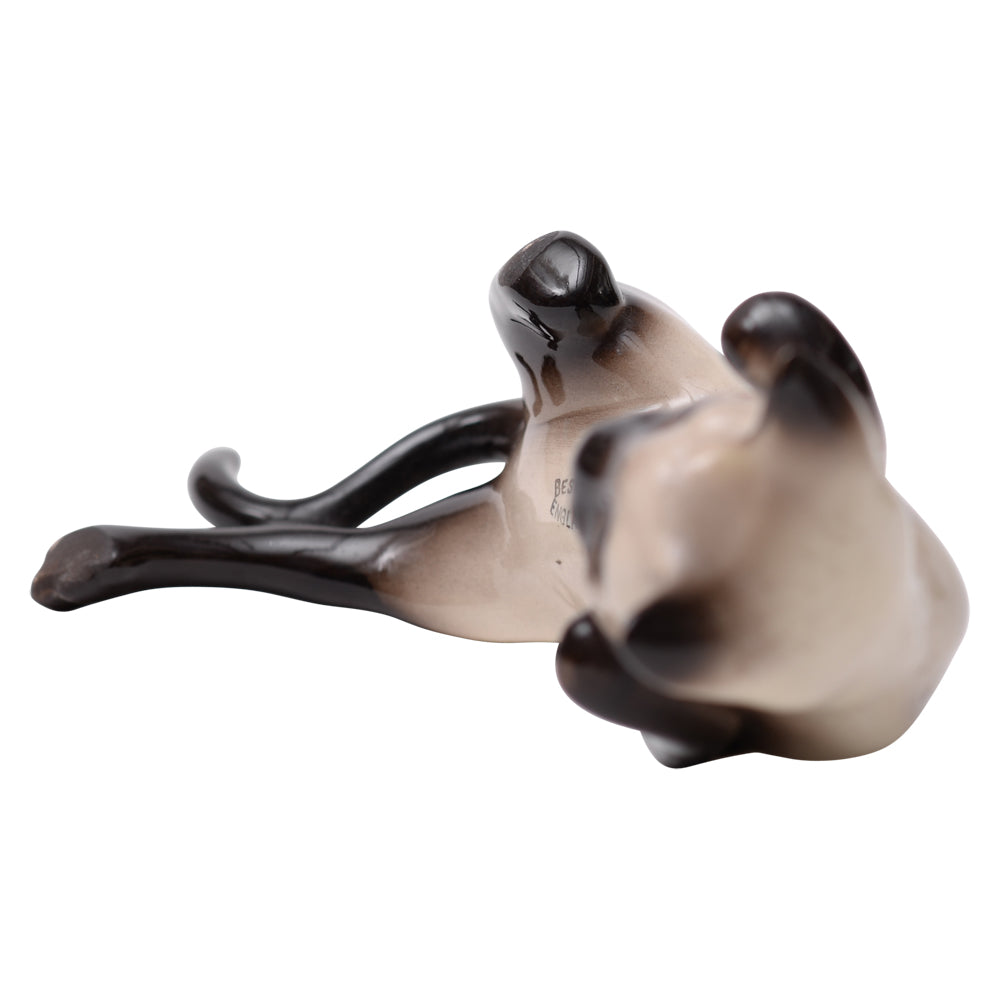 Cat Beswick