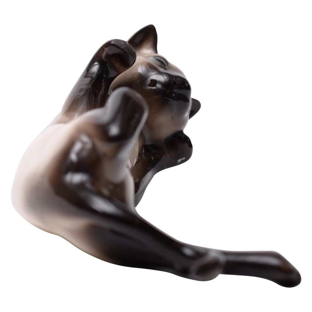 Cat Beswick