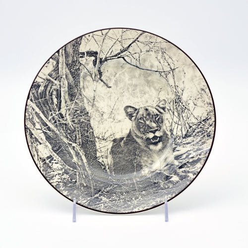 Lioness  Plate