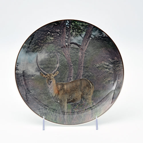 Waterbuck  Plate