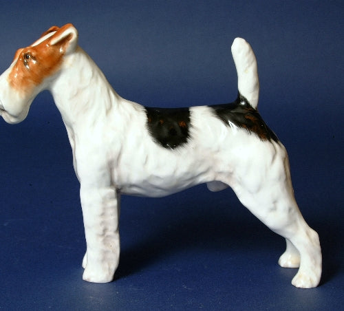 Rough Haired Terrier &#39;