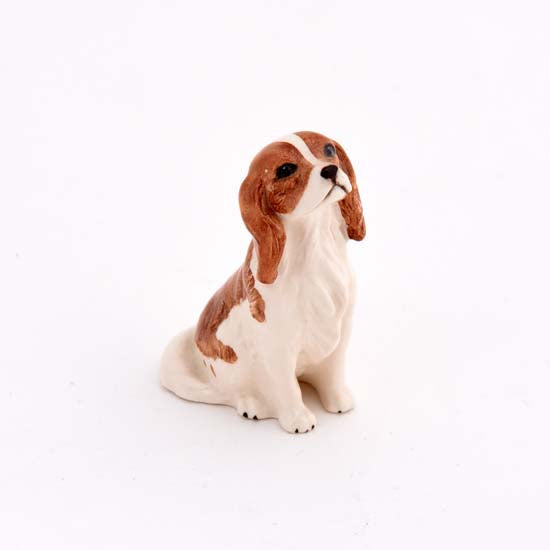 Cavalier King Charles Spaniel